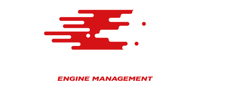 Link Engine Management Ltd logo